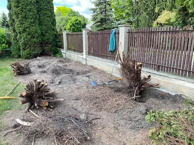 ZIELTEX Bartłomiej Wójcik